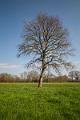 2019_04_14_Vers Vandenesse (0025)